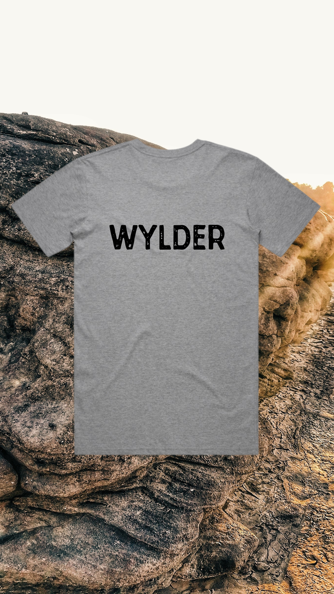 Wylder T-Shirt Stone